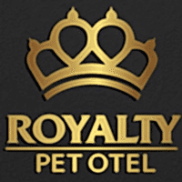 Awesome Logo